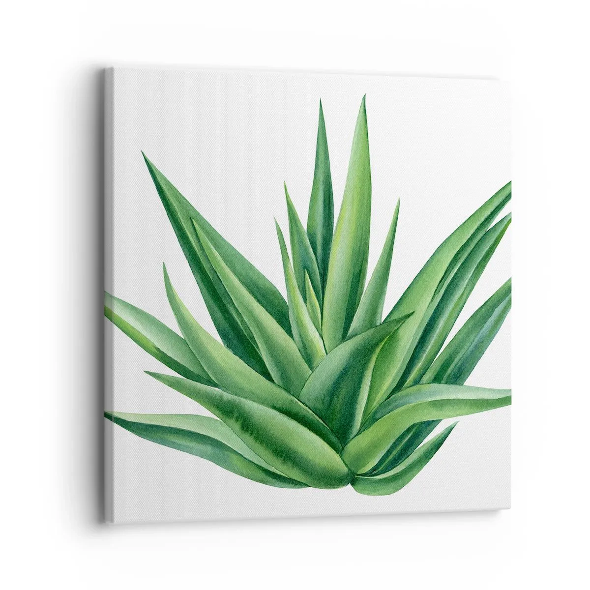 Quadro su tela - Stampe su Tela - Verde - forza - vita - 30x30 cm