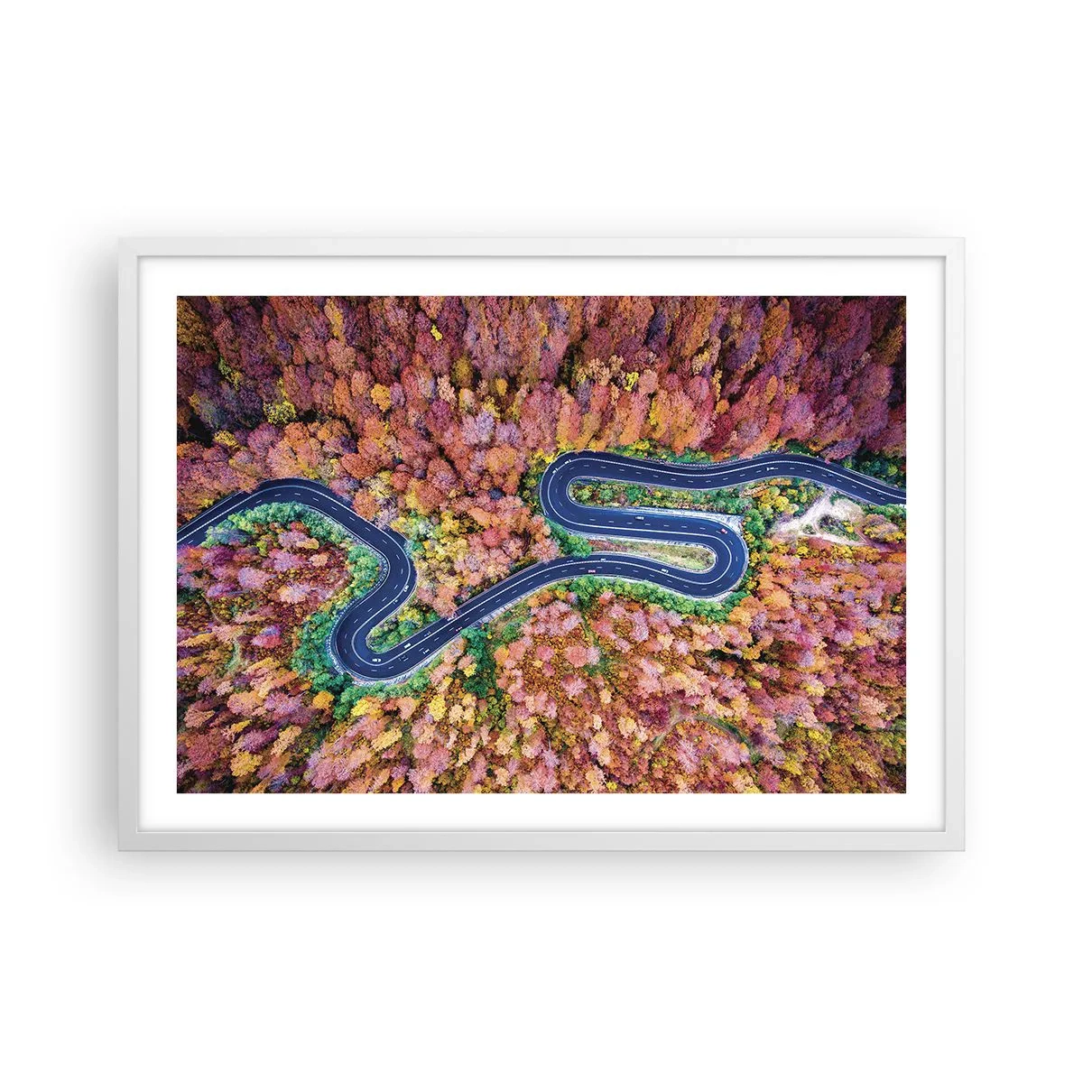 Poster in cornice bianca - Via tortuosa attraverso il bosco - 70x50 cm