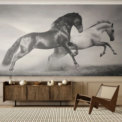Fotomurali Premium Sand - Cavalli bianchi e neri in un galoppo dinamico - 100x70cm - Angeli e demoni - Decorazione murale moderna per soggiorno e camera da letto ARTTOR