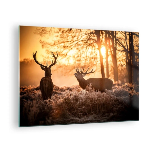 Quadro su vetro - Due cervi in una scena di foresta all'alba - 70x50cm - Il sogno del cacciatore - Decorazione murale moderna per soggiorno e camera da letto ARTTOR