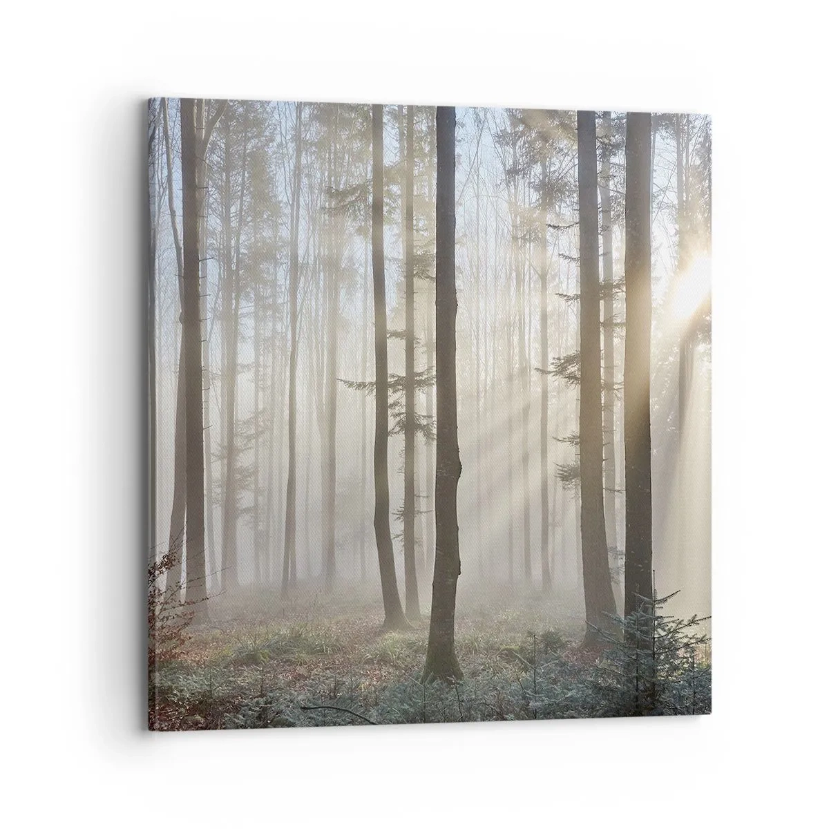 Quadro su tela - Stampe su Tela - Anche la nebbia si è svegliata - 70x70 cm