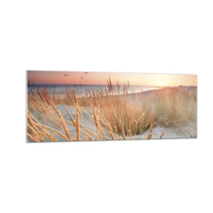 Quadro su vetro - Spiaggia al tramonto con erba alta - 140x50cm - Ninna nanna baltica - Decorazione murale moderna per soggiorno e camera da letto ARTTOR