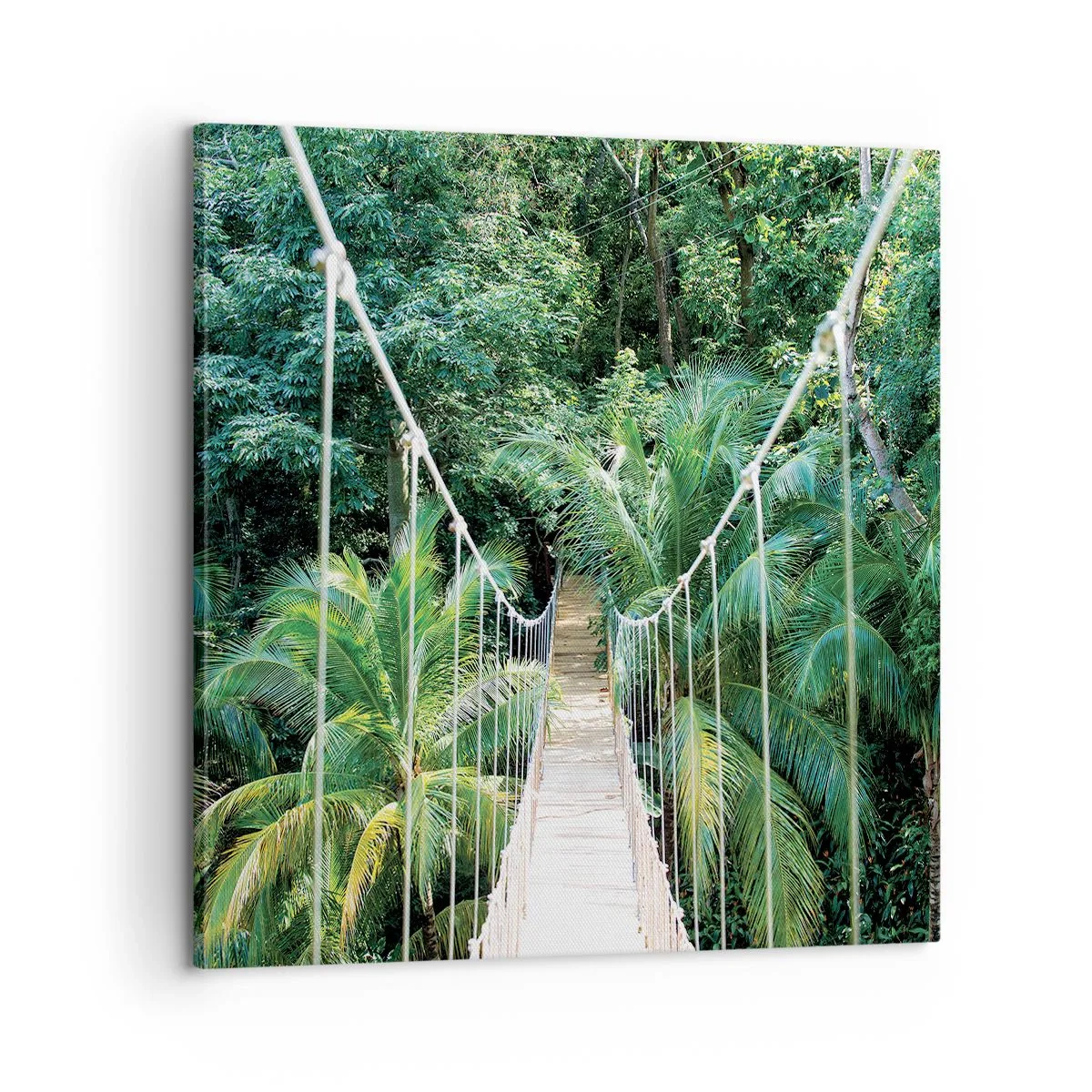 Quadro su tela - Stampe su Tela - Welcome to the jungle! - 60x60 cm