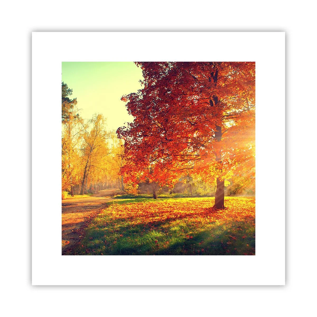 Poster - Rosso è bello - 30x30 cm