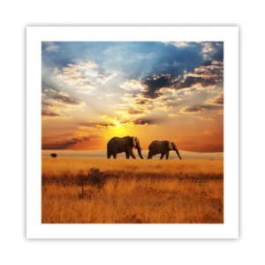 Poster - Passeggiata familiare - 50x50 cm