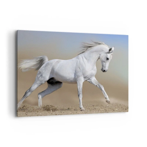 Quadro su tela - Stampe su Tela - Un cavallo bianco che galoppa attraverso un paesaggio desertico - 100x70cm - La più bella favola araba - Decorazione murale moderna per soggiorno e camera da letto ARTTOR
