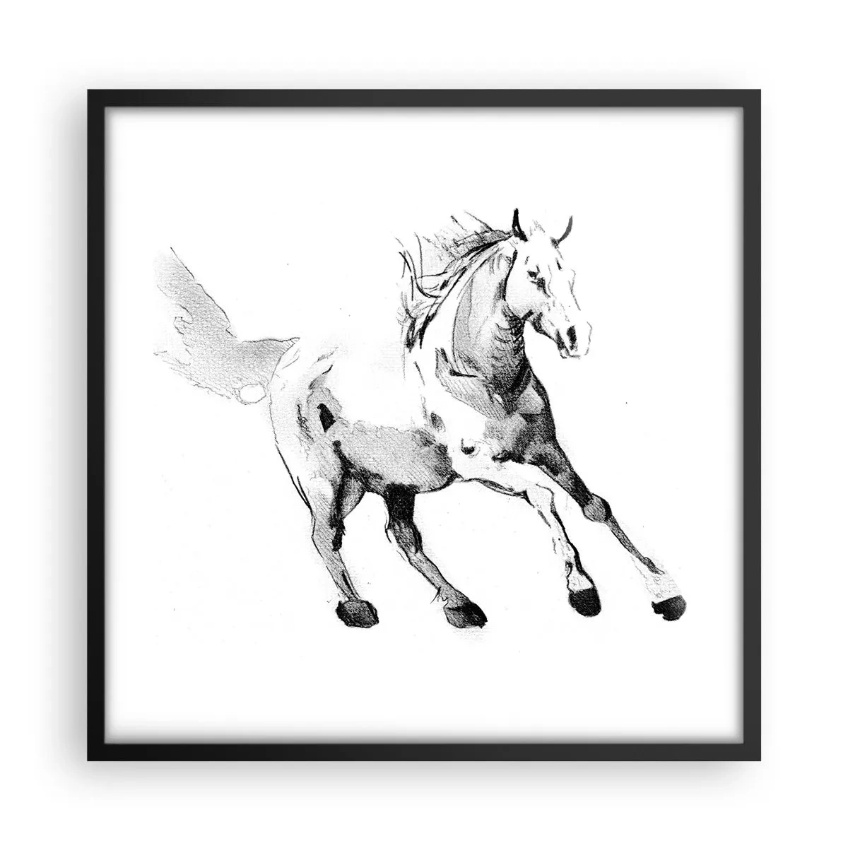 Poster in cornice nera - Anima indomabile - 50x50 cm