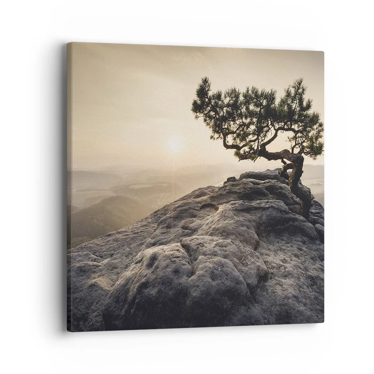 Quadro su tela - Stampe su Tela - La vita vince sempre - 40x40 cm