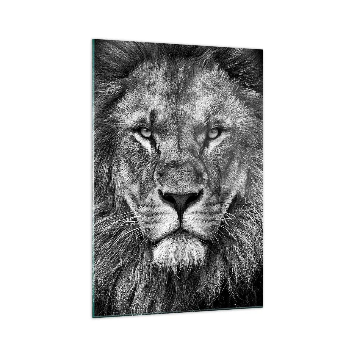 Quadro su vetro - Ritratto di un maestoso leone in bianco e nero - 70x100cm - Nell'abito dell'incoronazione - Decorazione murale moderna per soggiorno e camera da letto ARTTOR