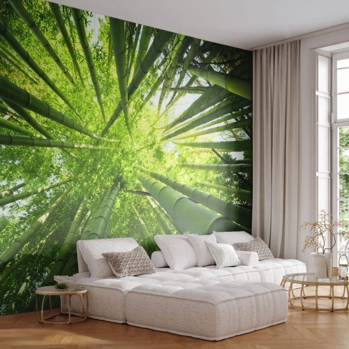 Fotomurali Premium Sand - Vista della fitta foresta di bambù dalla prospettiva dall'alto - 100x70cm - Nella foresta di bambù - Decorazione murale moderna per soggiorno e camera da letto ARTTOR