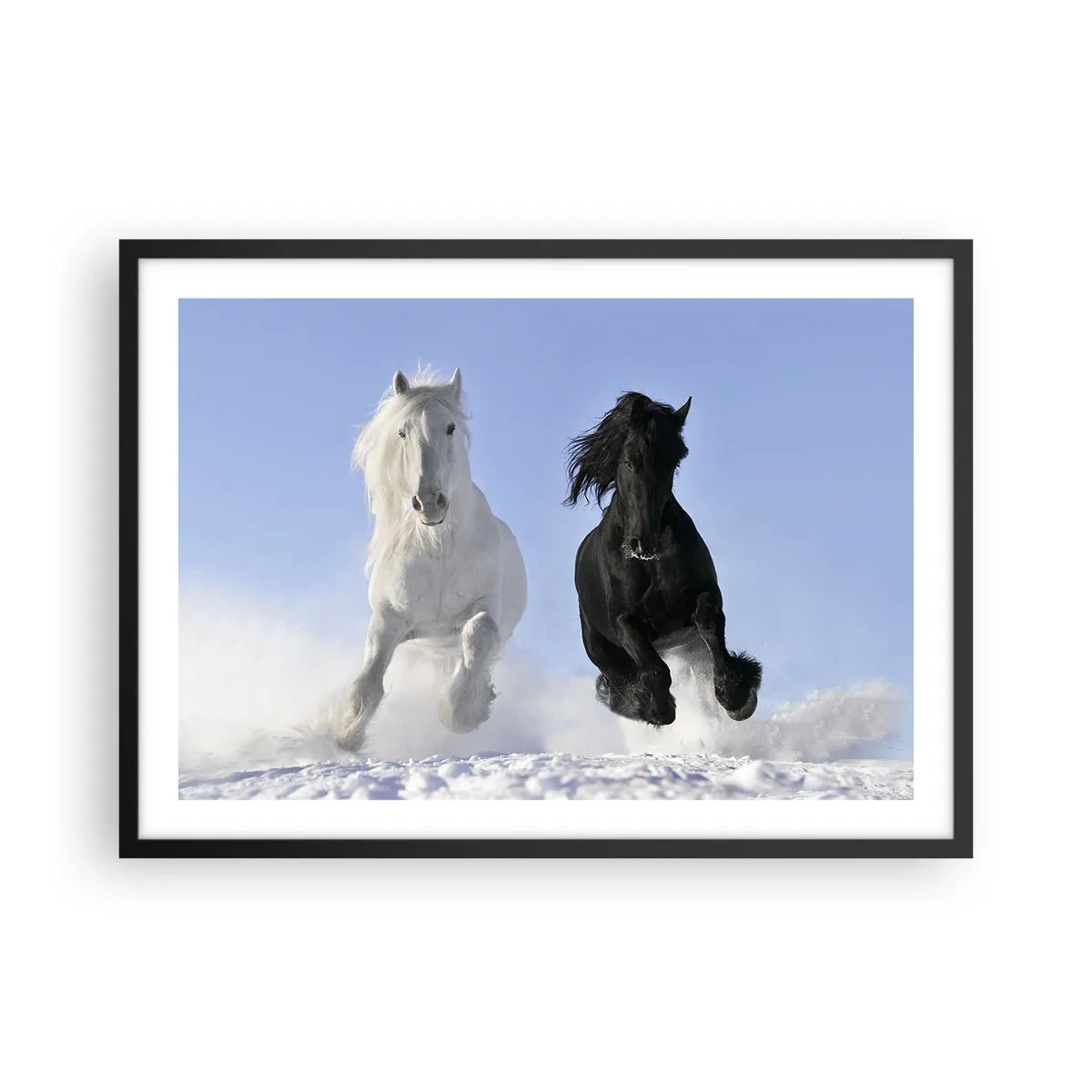 Poster in cornice nera - Un cavallo bianco e uno nero che galoppano nella neve - 70x50cm - Galoppo in bianco e nero - Decorazione murale moderna per soggiorno e camera da letto ARTTOR