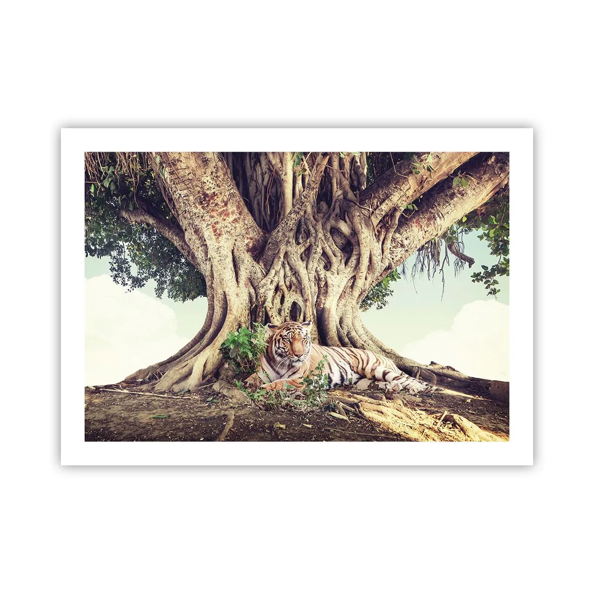 Poster - Vista dal Libro della Genesi - 70x50 cm