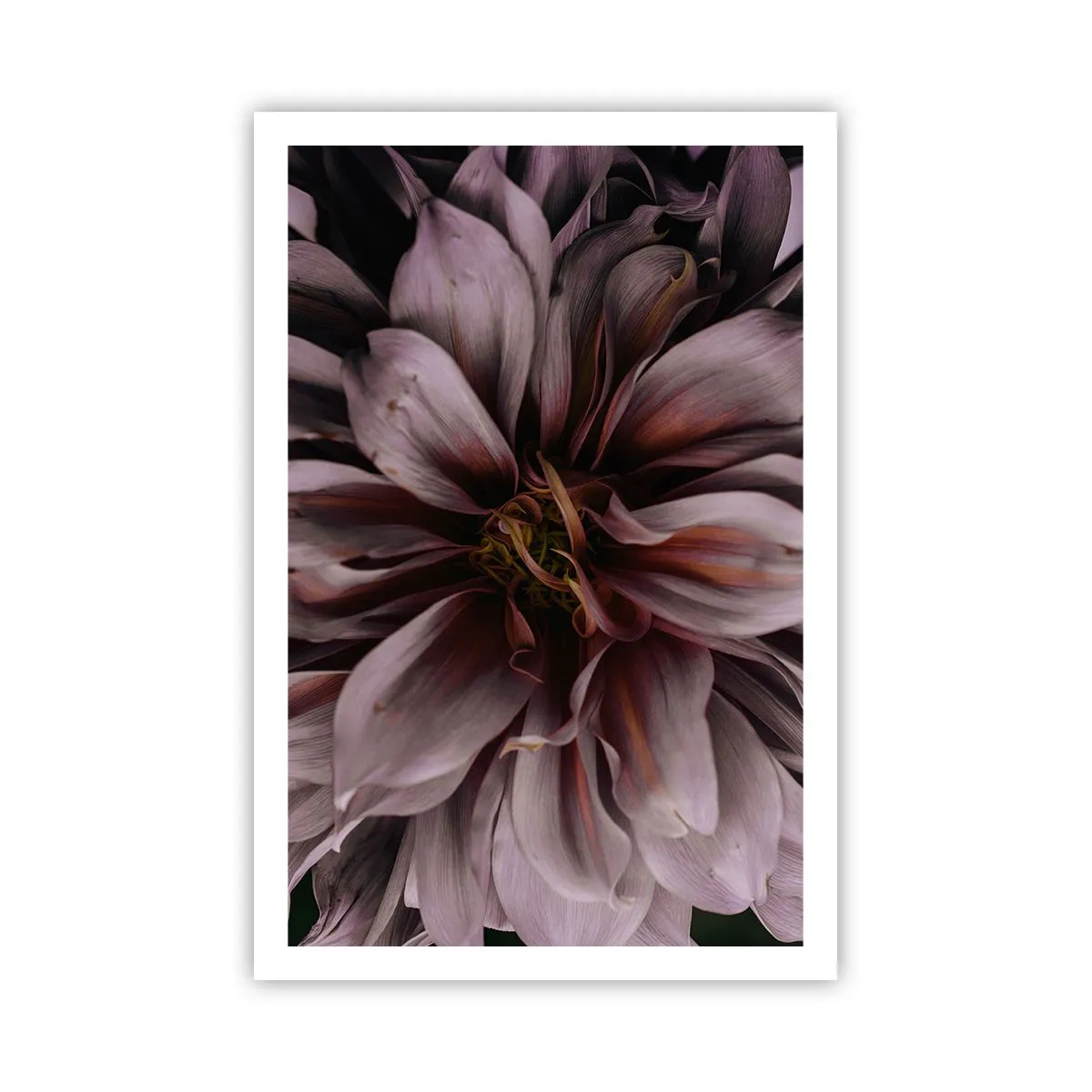 Poster - Cuore d'aprile - 61x91 cm