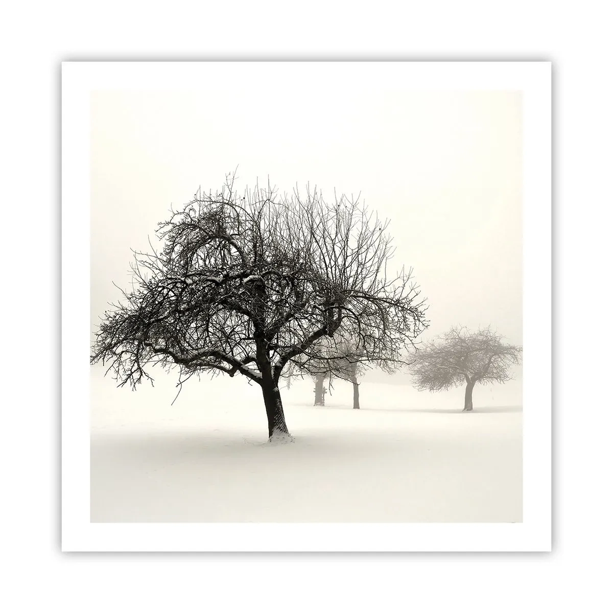 Poster - Sogno invernale - 60x60 cm