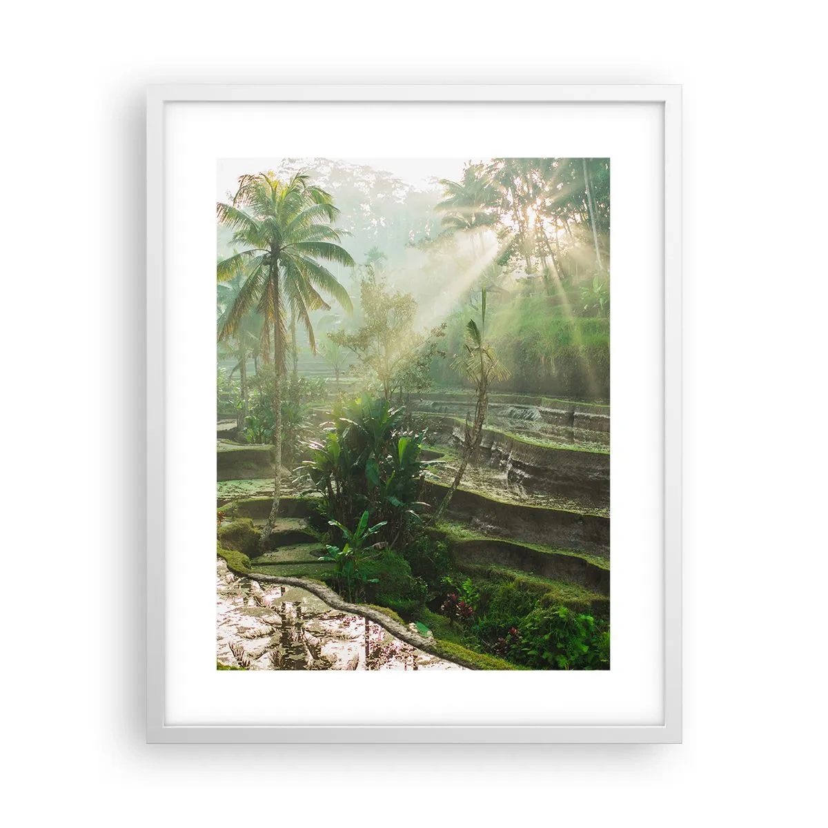 Poster in cornice bianca - Crescere al sole - 40x50 cm