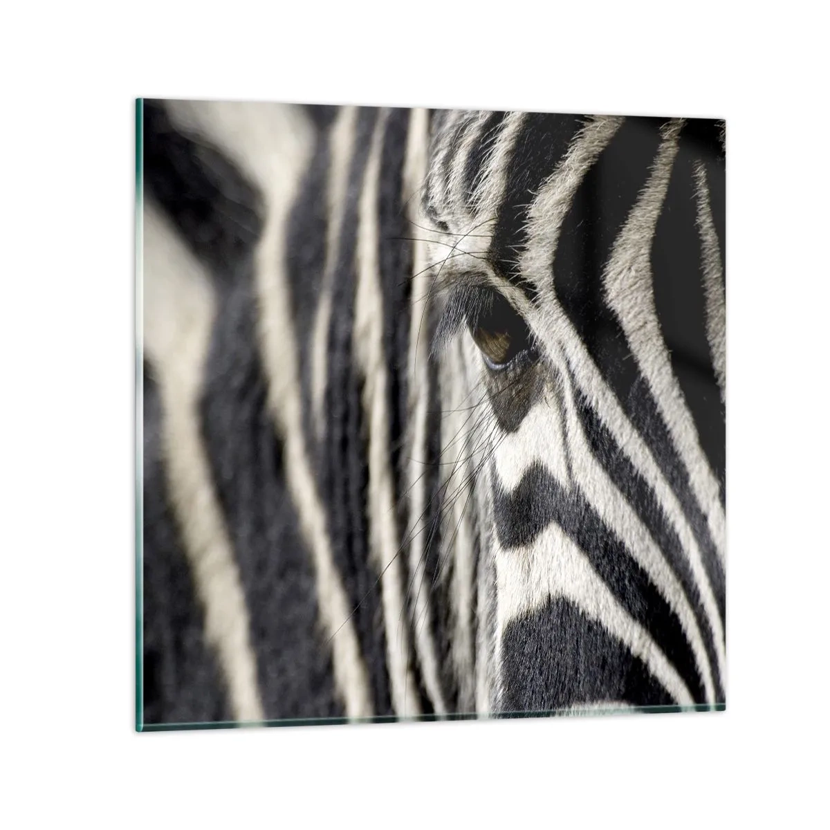 Quadro su vetro - Ritratto a strisce - 50x50 cm