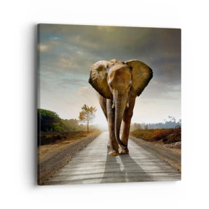 Quadro su tela - Stampe su Tela - E non nel negozio di cristalli - 40x40 cm