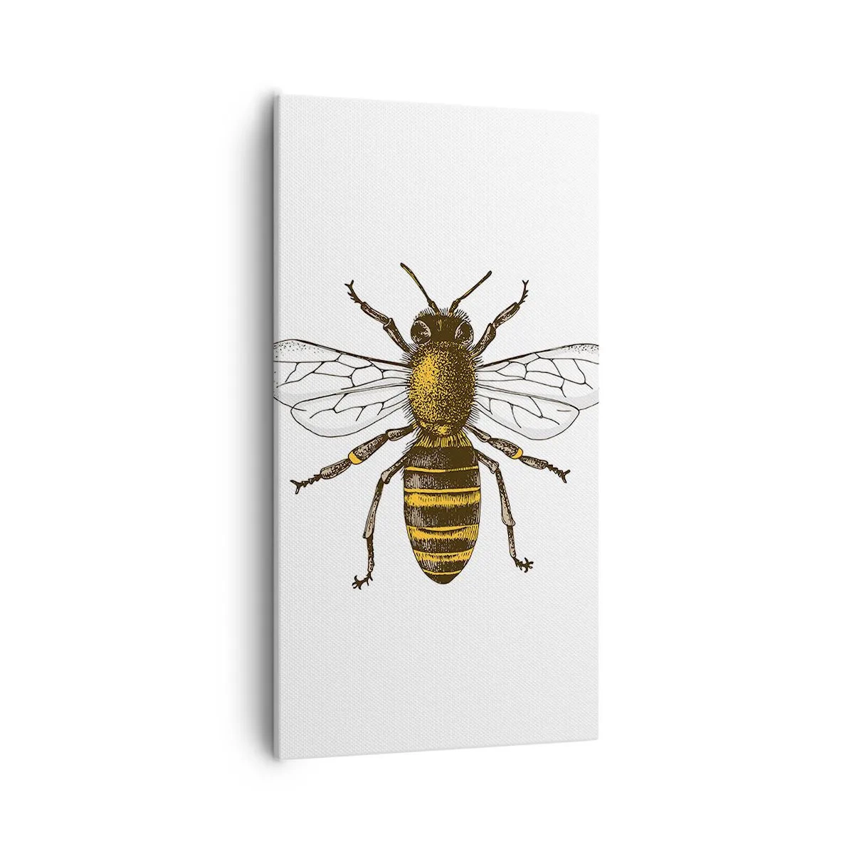 Quadro su tela - Stampe su Tela - Bella e buona - 55x100 cm