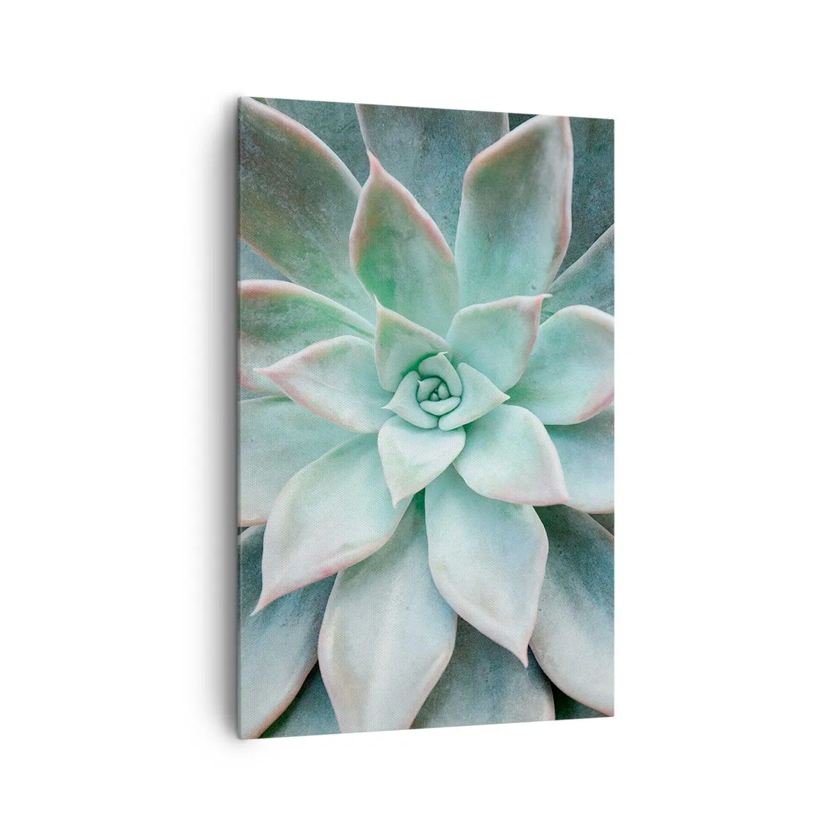 Quadro su tela - Stampe su Tela - Primo piano di una succulenta verde - 80x120cm - Il cuore del deserto - Decorazione murale moderna per soggiorno e camera da letto ARTTOR