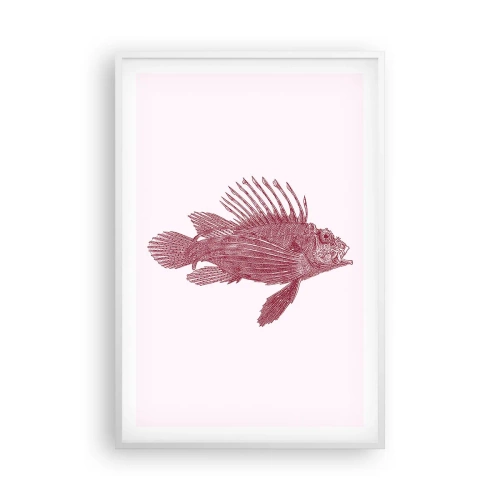 Poster in cornice bianca - Abitante di mari esotici - 61x91 cm