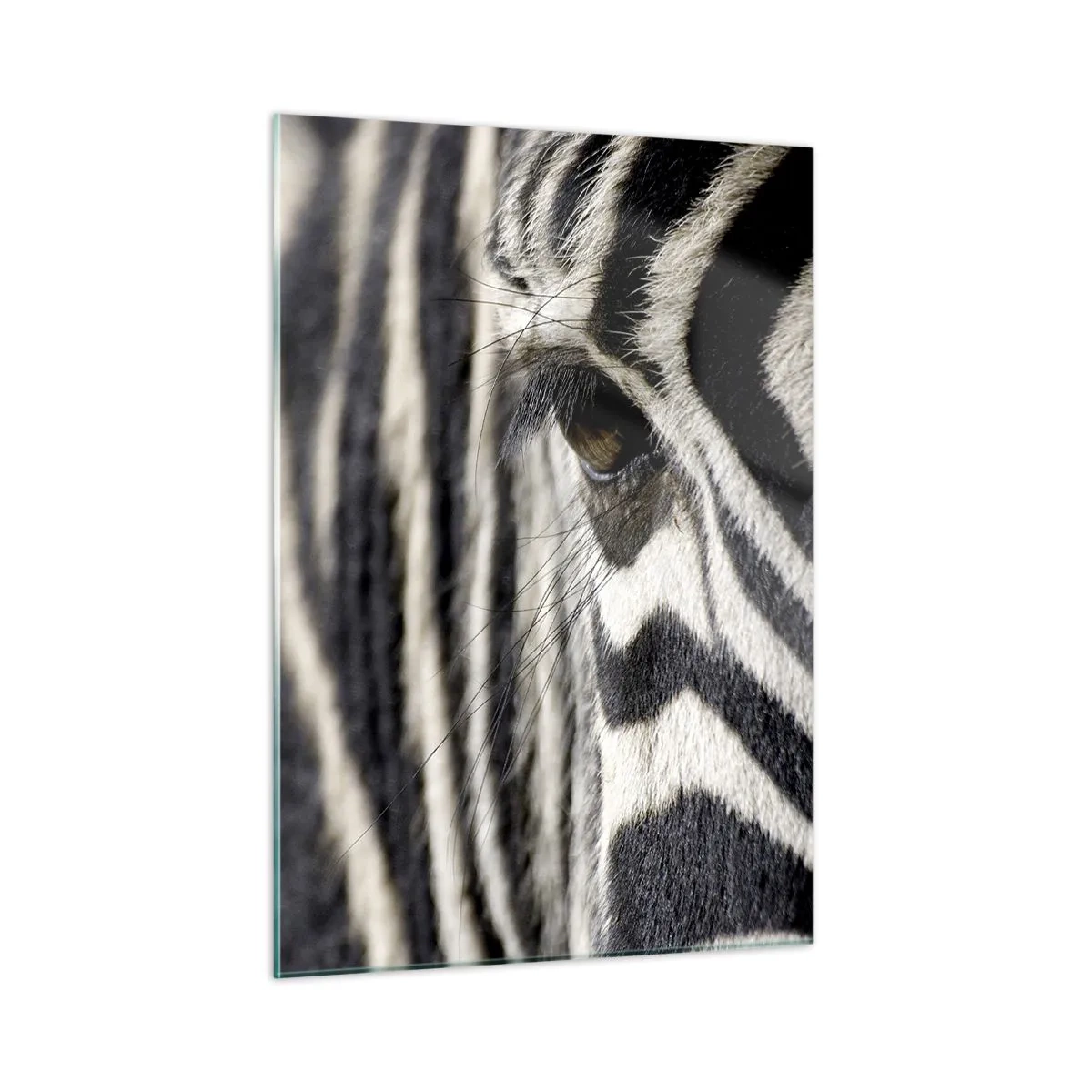 Quadro su vetro - Primo piano dell'occhio di una zebra e delle sue strisce bianche e nere - 50x70cm - Ritratto a strisce - Decorazione murale moderna per soggiorno e camera da letto ARTTOR