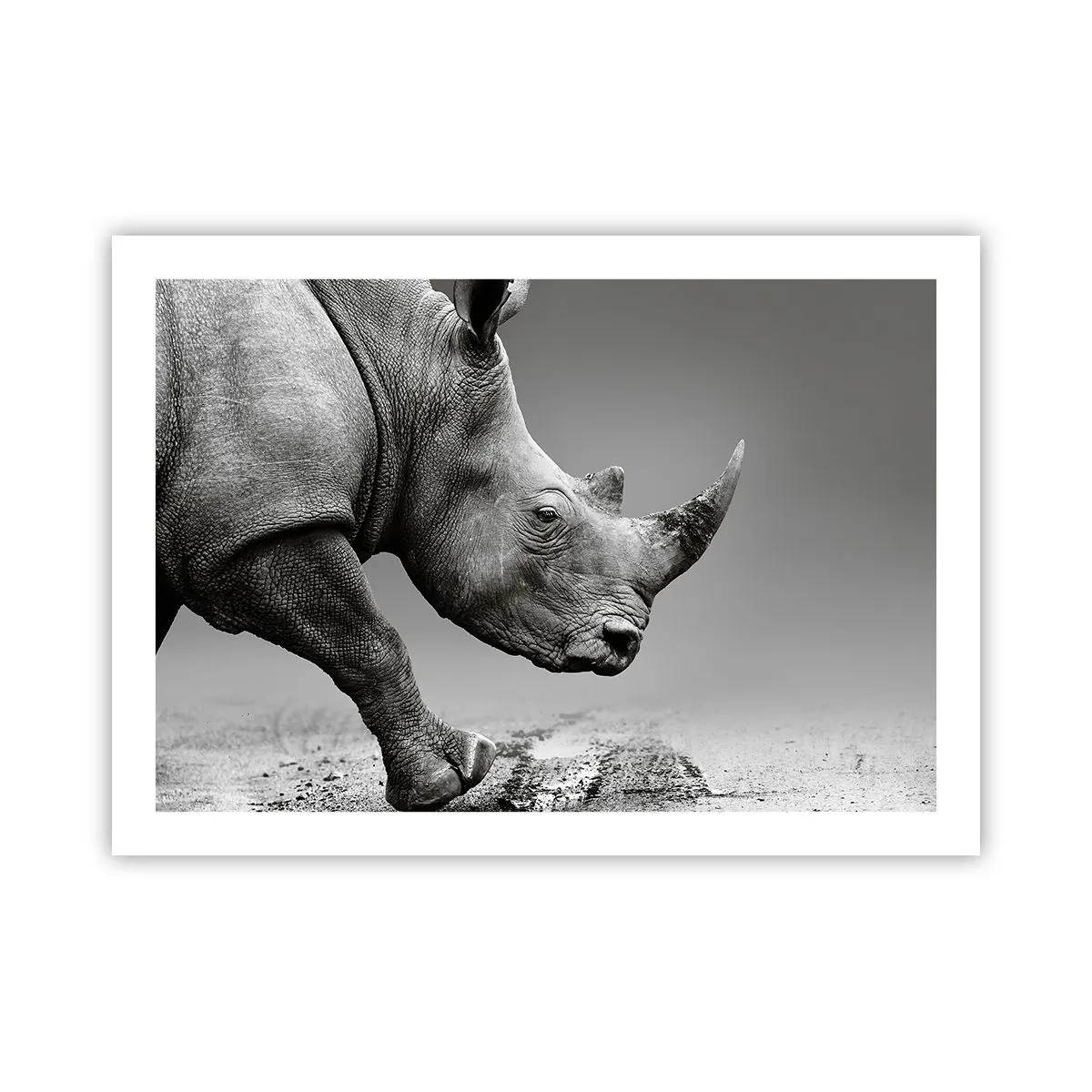 Poster - Forza irrefrenabile - 70x50 cm