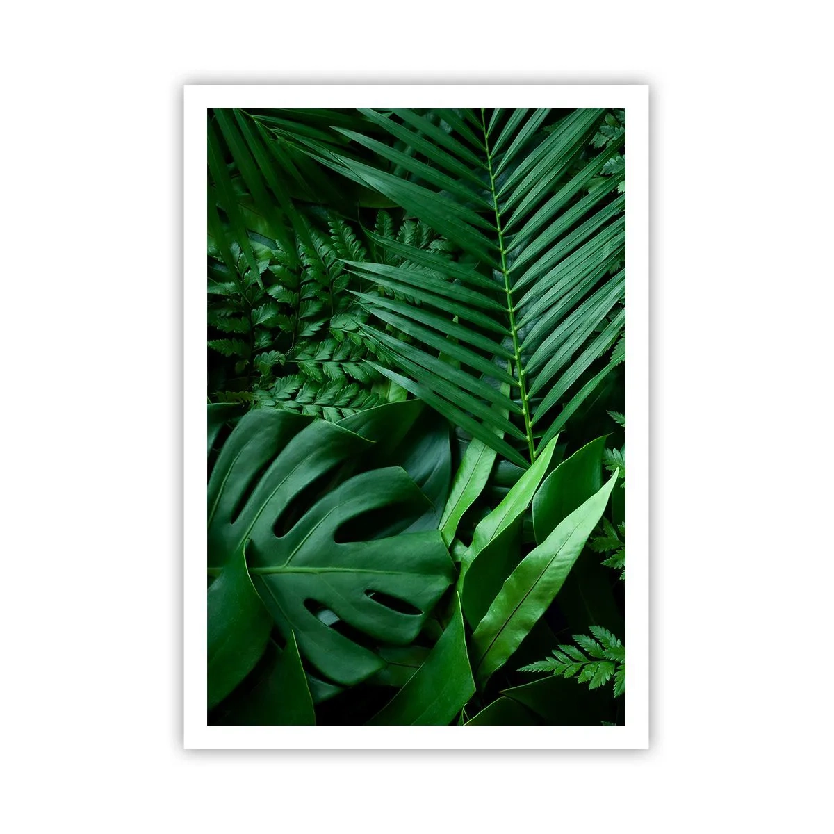 Poster - Avvolti nel verde - 70x100 cm