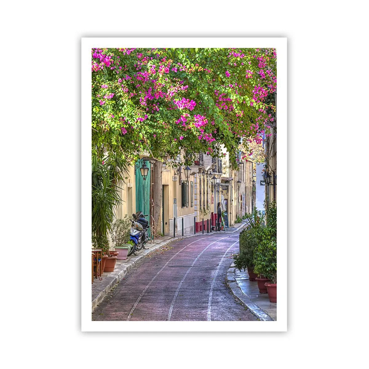 Poster - Angolo fiorito - 70x100 cm