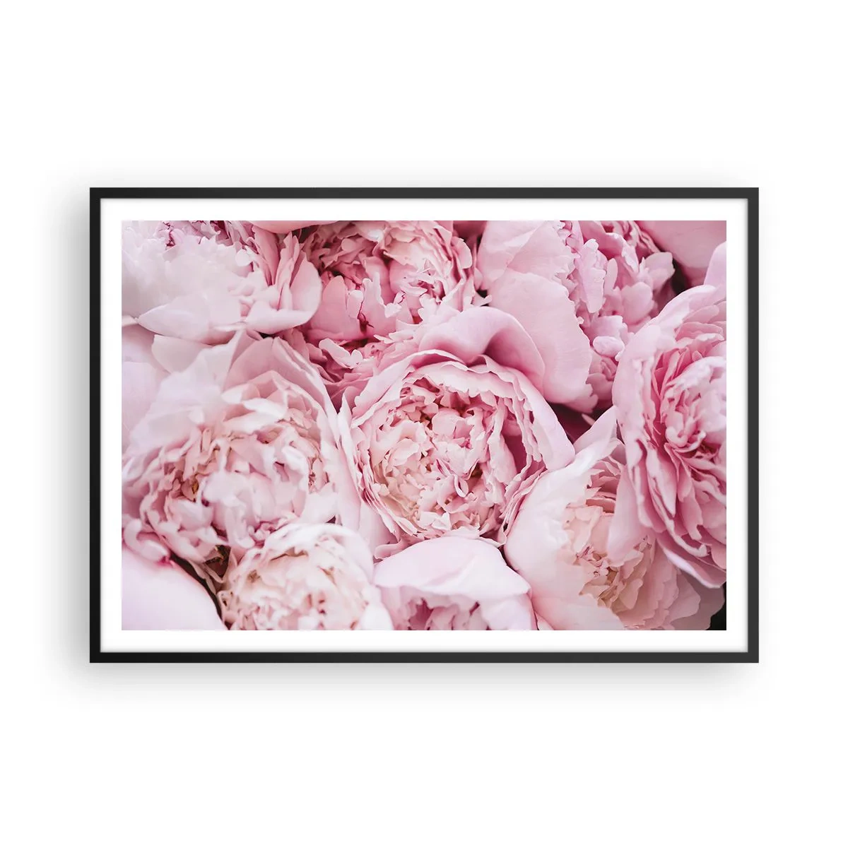 Poster in cornice nera - Un primo piano di un bouquet di peonie rosa - 100x70cm - Morbide e profumate - Decorazione murale moderna per soggiorno e camera da letto ARTTOR