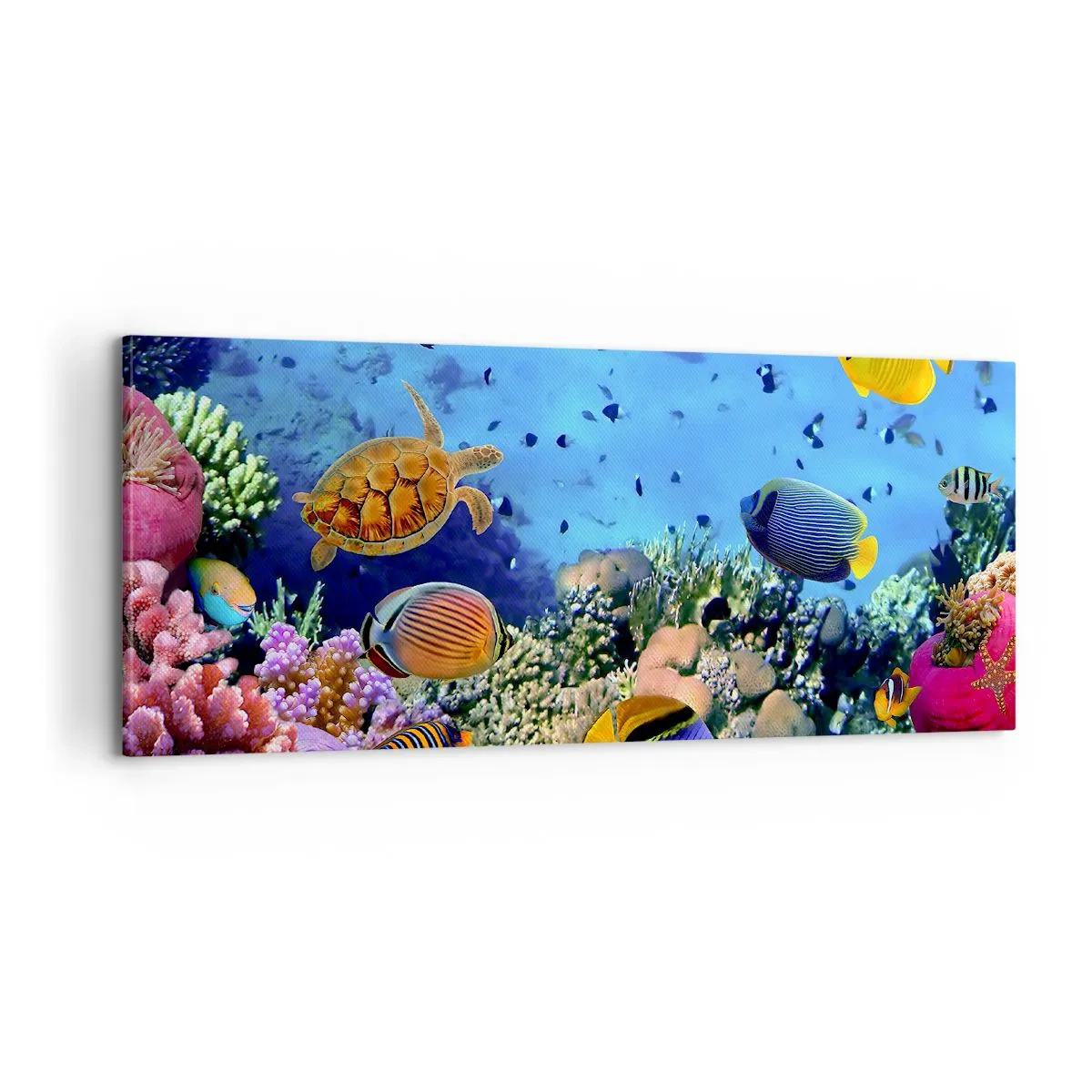 Quadro su tela - Stampe su Tela - Ma cosa sappiamo della vita... - 100x40 cm