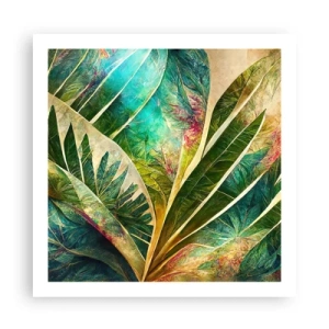 Poster - I colori dei tropici - 60x60 cm