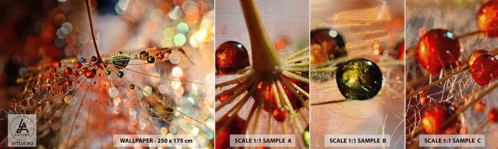 Campione di Fotomurale Premium Canvas - Posate sulla ragnatela - Astrazione, ragnatela, Pezzo - 100x30 cm