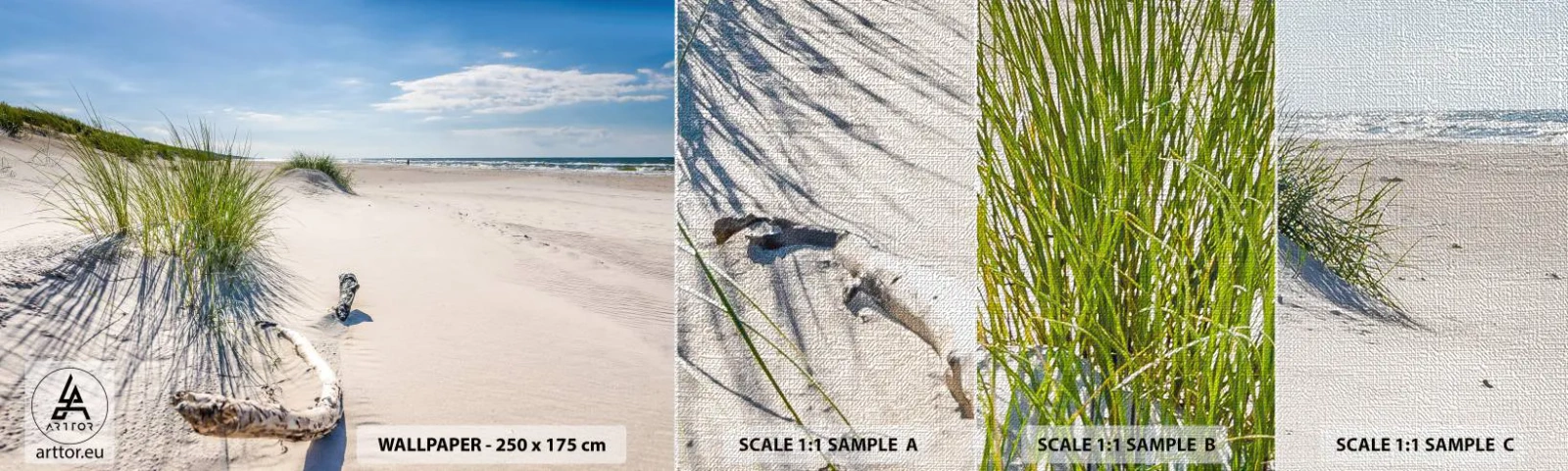 Campione di Fotomurale Premium Canvas - La più bella? Quella del baltico - Mare, Spiaggia, Duna - 100x30 cm