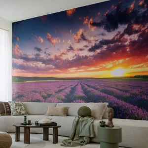 Fotomurali Premium Sand - Il mondo della lavanda - Paesaggio, Campo di lavanda, Lavanda - 300x210 cm