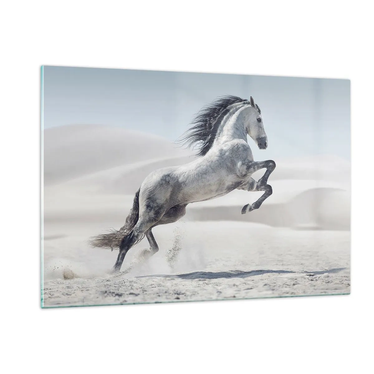 Quadro su vetro - Un cavallo bianco che salta sullo sfondo delle dune del deserto - 120x80cm - Il principe arabo - Decorazione murale moderna per soggiorno e camera da letto ARTTOR