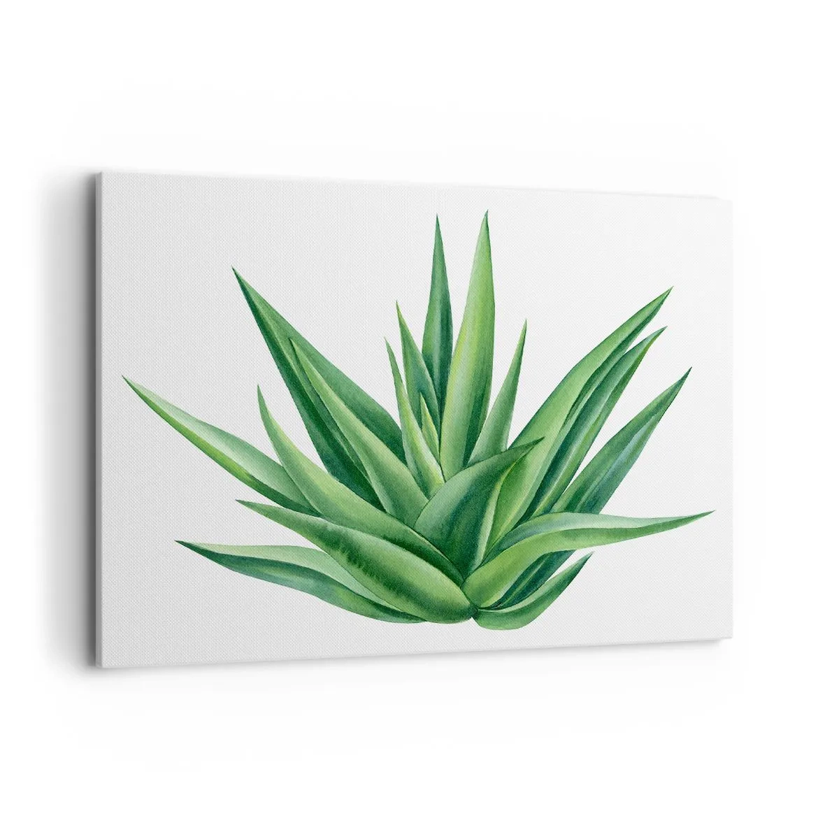 Quadro su tela - Stampe su Tela - Una pianta verde succosa su uno sfondo bianco - 100x70cm - Verde - forza - vita - Decorazione murale moderna per soggiorno e camera da letto ARTTOR
