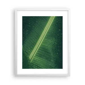 Poster in cornice bianca - La struttura del verde - 40x50 cm