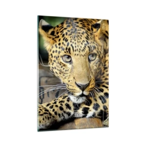 Quadro su vetro - Ritratto di un leopardo nel suo ambiente naturale - 80x120cm - Non temere, avvicinati - Decorazione murale moderna per soggiorno e camera da letto ARTTOR