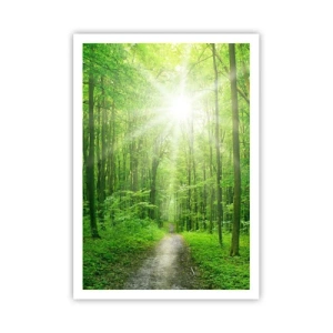 Poster - Cattedrale verde - 70x100 cm