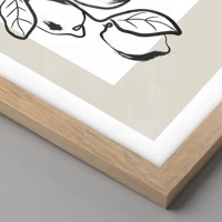 Rovere chiaro