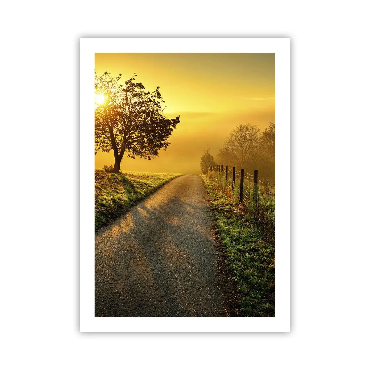 Poster - Una strada tra i campi all'alba - 50x70cm - Pomeriggio di miele - Decorazione murale moderna per soggiorno e camera da letto ARTTOR