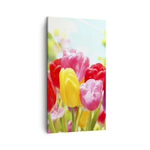 Quadro su tela - Stampe su Tela - Eccoci, i colori di maggio! - 45x80 cm