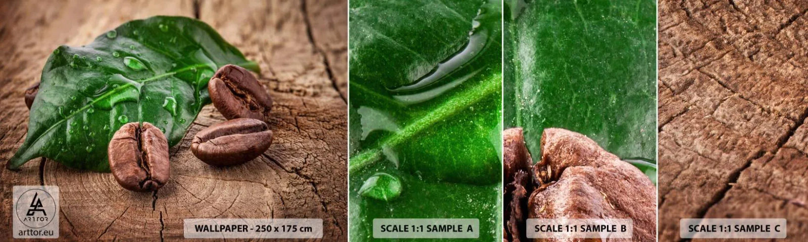 Campione Di Fotomurale Standard Eco - Nero e autentico - Gastronomia, Caffè, Chicco di caffe - 100x30 cm