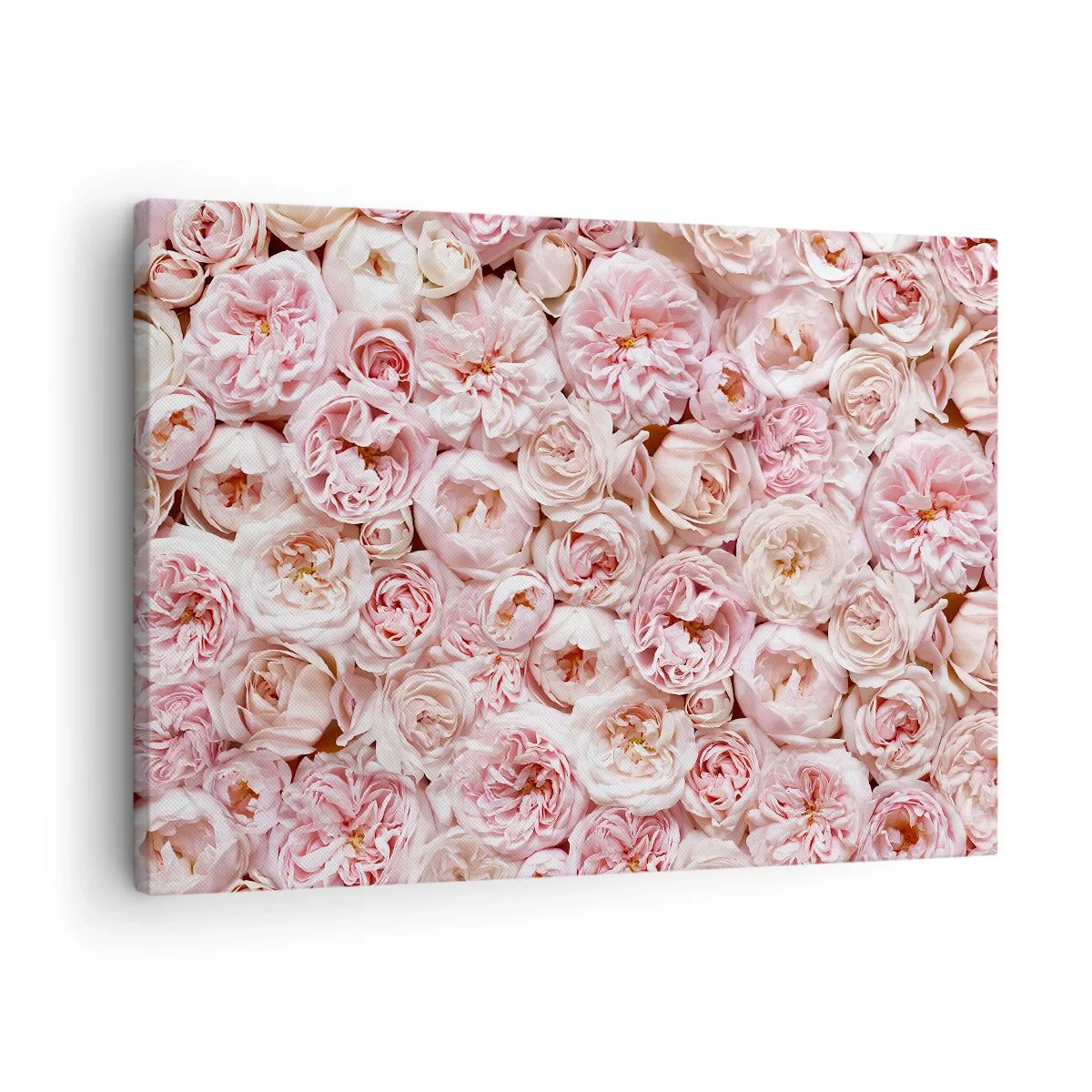 Quadro su tela - Stampe su Tela - Delicate rose in tonalità di rosa su tutta la superficie - 70x50cm - Coperto di rose - Decorazione murale moderna per soggiorno e camera da letto ARTTOR