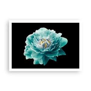 Poster - Fiore di peonia turchese su sfondo nero - 100x70cm - Petali blu e oro - Decorazione murale moderna per soggiorno e camera da letto ARTTOR