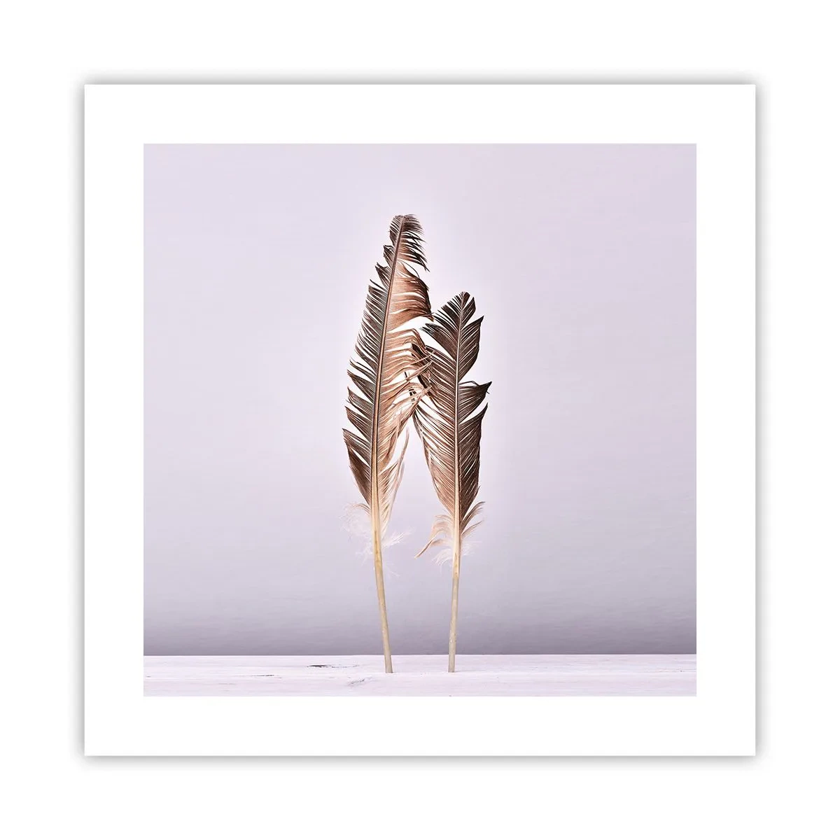 Poster - Contro il nulla - 40x40 cm