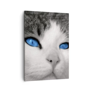 Quadro su tela - Stampe su Tela - Ritratto di un gatto con gli occhi azzurri in stile bianco e nero - 50x70cm - Insoliti occhi azzurri - Decorazione murale moderna per soggiorno e camera da letto ARTTOR