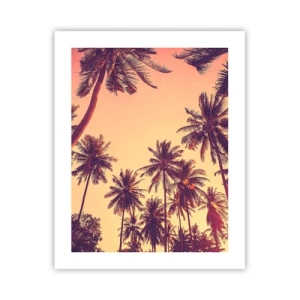 Poster - Composizione tropicale - 40x50 cm