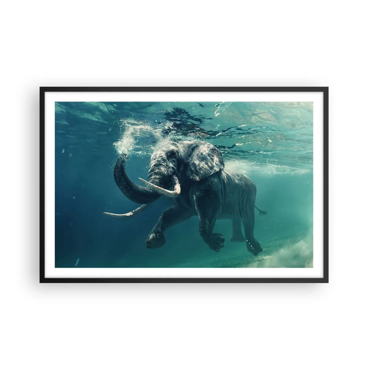 Poster in cornice nera - Tutti amano nuotare - 91x61 cm