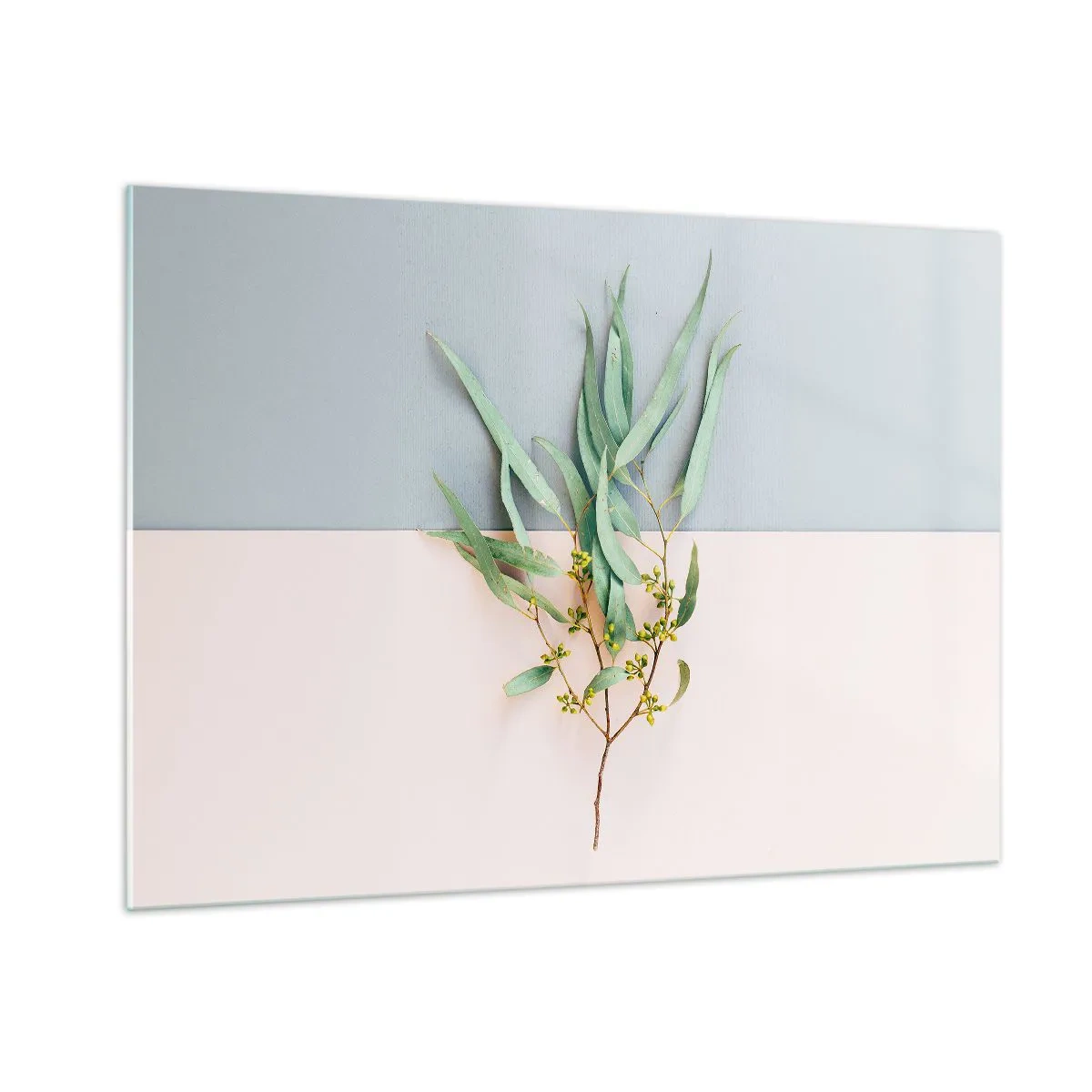 Quadro su vetro - Un rametto di eucalipto su uno sfondo pastello - 100x70cm - Delicatezza pastello - Decorazione murale moderna per soggiorno e camera da letto ARTTOR